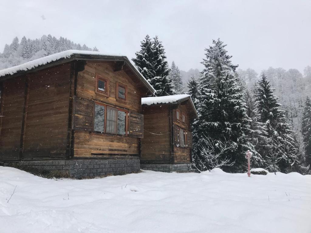 Kardelen Bungalov Evleri̇ Ayder Yaylası Eksteriør bilde