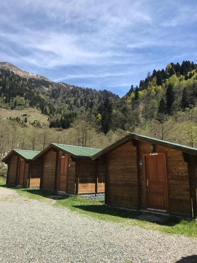 Kardelen Bungalov Evleri̇ Ayder Yaylası Eksteriør bilde