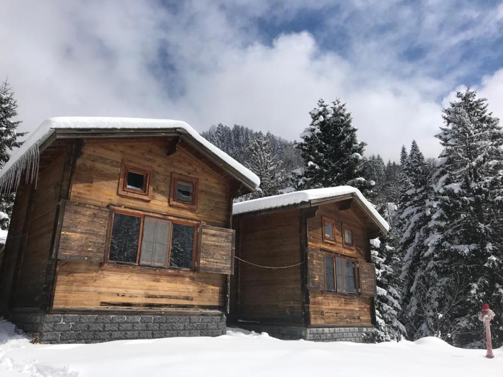 Kardelen Bungalov Evleri̇ Ayder Yaylası Eksteriør bilde