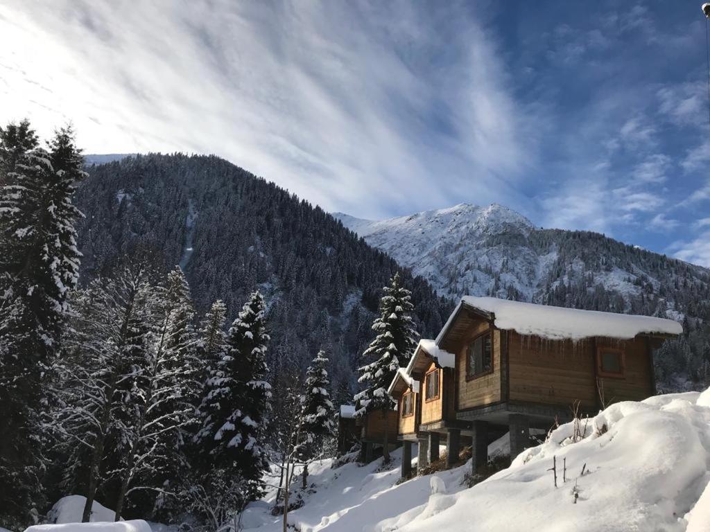 Kardelen Bungalov Evleri̇ Ayder Yaylası Eksteriør bilde