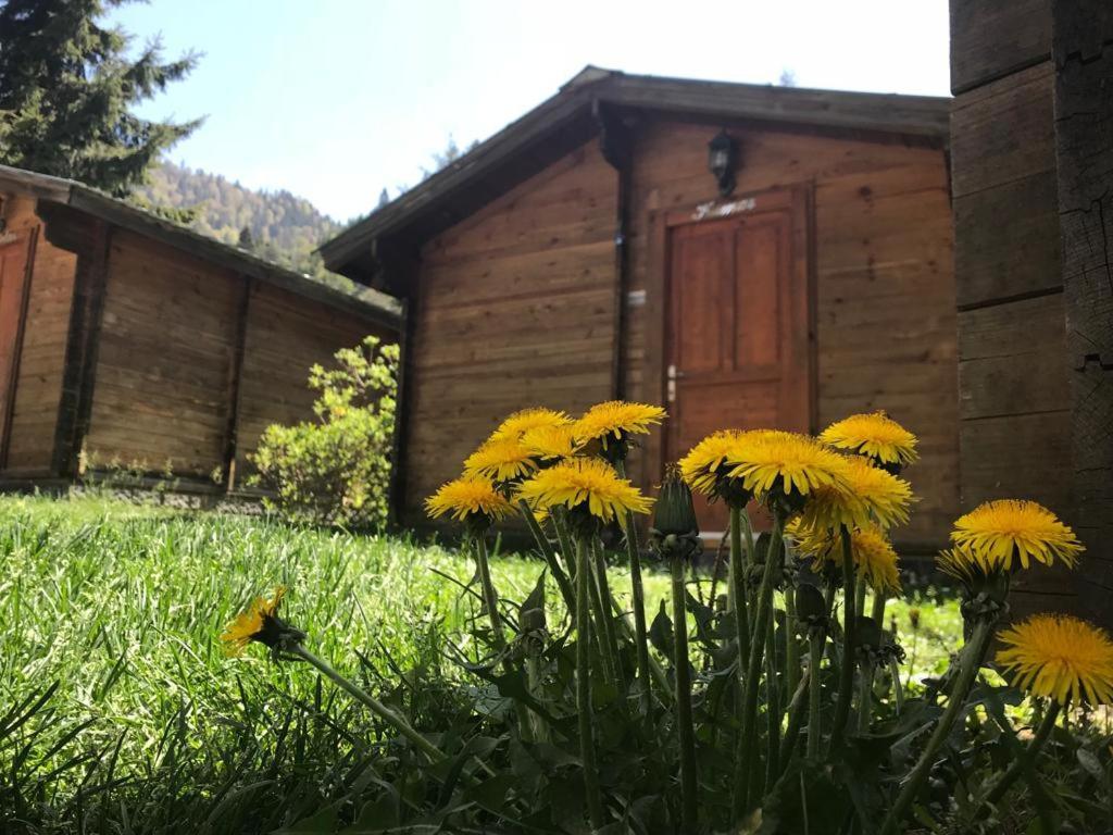 Kardelen Bungalov Evleri̇ Ayder Yaylası Eksteriør bilde