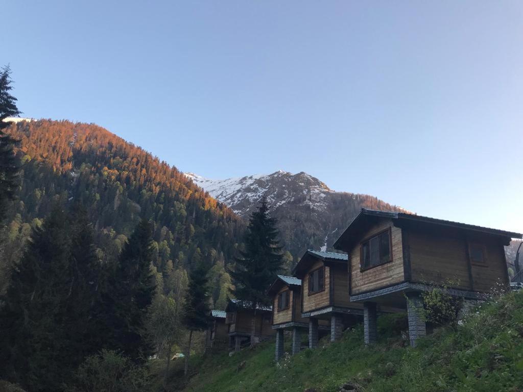 Kardelen Bungalov Evleri̇ Ayder Yaylası Eksteriør bilde