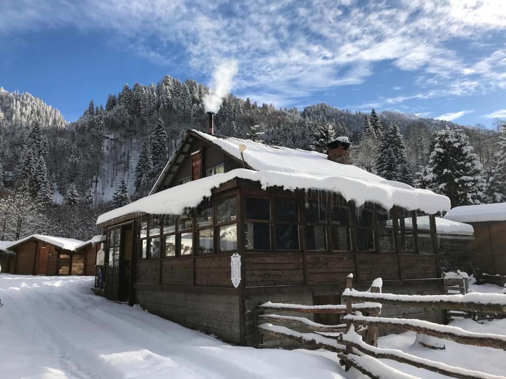 Kardelen Bungalov Evleri̇ Ayder Yaylası Eksteriør bilde