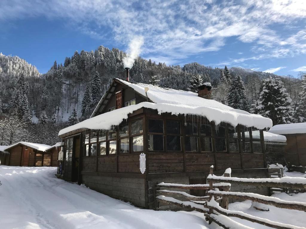 Kardelen Bungalov Evleri̇ Villa Ayder Yaylası Eksteriør bilde