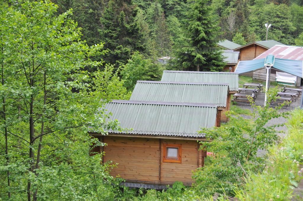 Kardelen Bungalov Evleri̇ Ayder Yaylası Rom bilde