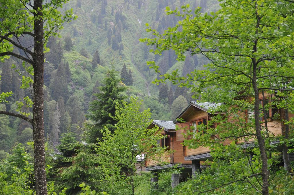 Kardelen Bungalov Evleri̇ Villa Ayder Yaylası Rom bilde